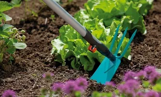 تصویر 2 از نشا گوجه فرنگی صادراتی با کیفیت تضمینی